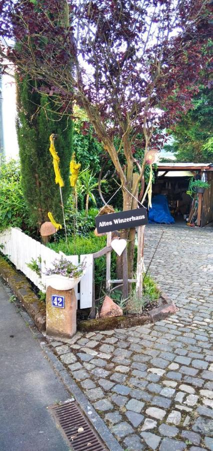 Apartment Altes Winzerhaus Osann-Monzel Bagian luar foto